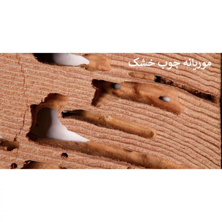 سم مورچه کش و موریانه کش همه فن حریف قدرتمند آمادرو ارسال رایگان