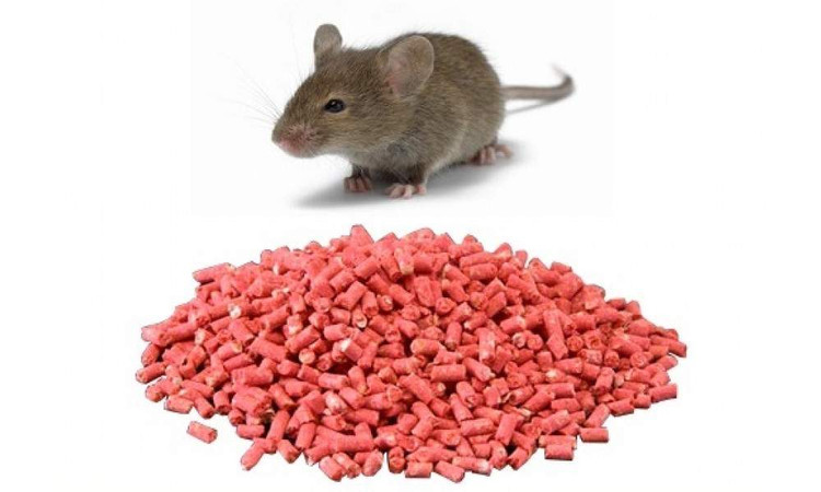 طعمه موش فسترک بلاکس آلمان اروجینال