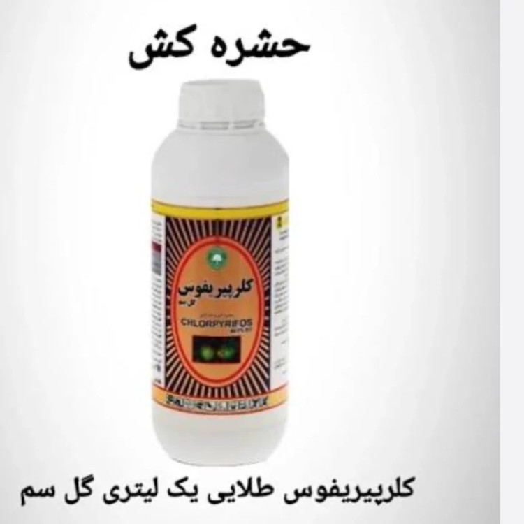 سم کلرپیریفوس یک لیتری کنه کش و شته کش درختان میوه ارسال رایگان به همراه یک عدد سمپاش سرنوشابه ای رایگان