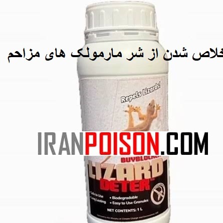 سم مارمولک LIZARD لیزارد اورجینال ارسال رایگان