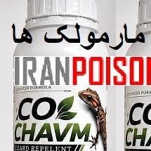 خریدوفروش بهترین سم وارداتی مارمولک اکوشاوم(ارسال رایگان)