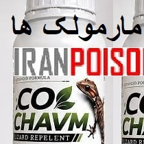 فروش بهترین سم خارجی مارمولک اکوشاوم(ارسال رایگان)