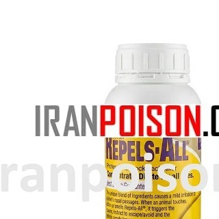 خرید بهترین سم سوسک ریز ریپلزال وارداتی(ارسال رایگان)