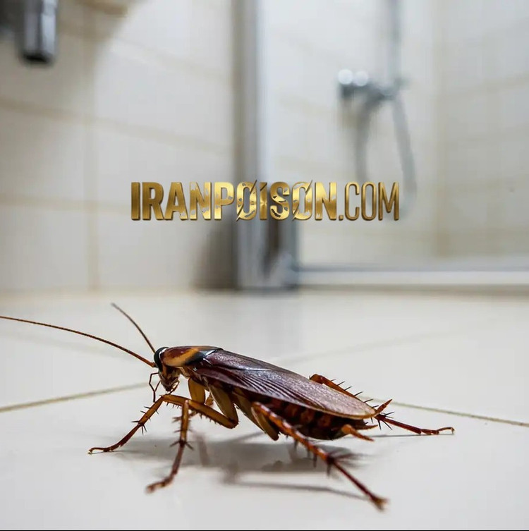 سفارش سم سوسک ریز ریپلزال وارداتی(ارسال رایگان)