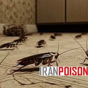 فروش سم ریپلزال برای کنترل سوسک ریز در فروشگاه(ارسال رایگان)