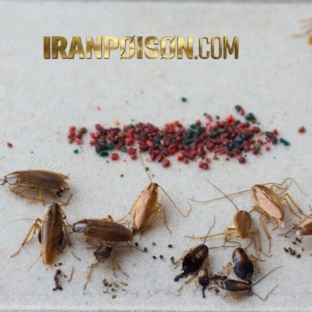خرید سم رونج برای کنترل سوسک در موتورخانه (ارسال رایگان)