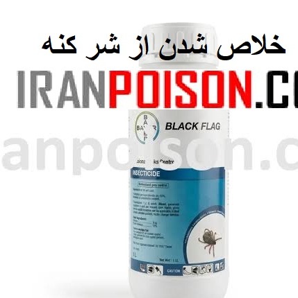 سم بلک فلگ راهکاری برای مقابله با کنههای مزاحم