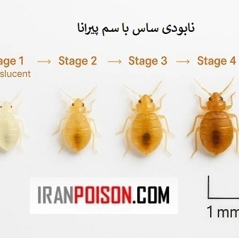 خرید سم قوی تخم ساس بدباگ