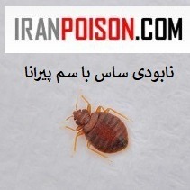 پیرانا وارداتی اصل (ارسال رایگان)