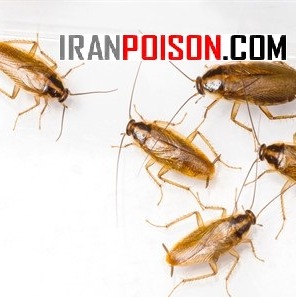 سفارش آنلاین سم سوسک ریز با شات گان