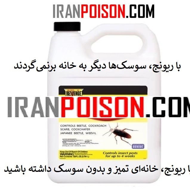 سم سوسک فاضلابی رونج برای آشپزخانه و سرویس بهداشتی