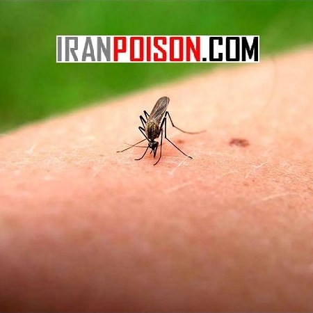 پایان حضور پشه ها در خانه با سم تی اس