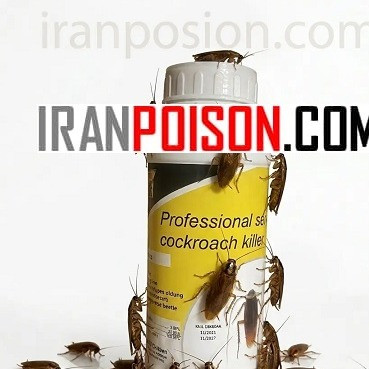 خانهای بدون سوسک فاضلابی با سم رونج