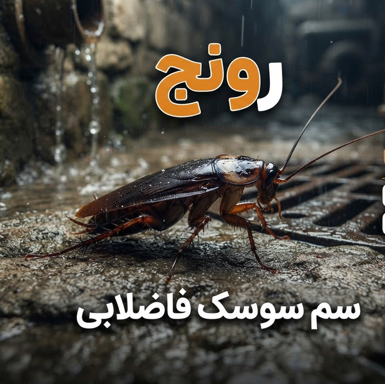 خرید و فروش سم رونج برای همه نوع سوسک (ارسال رایگان)