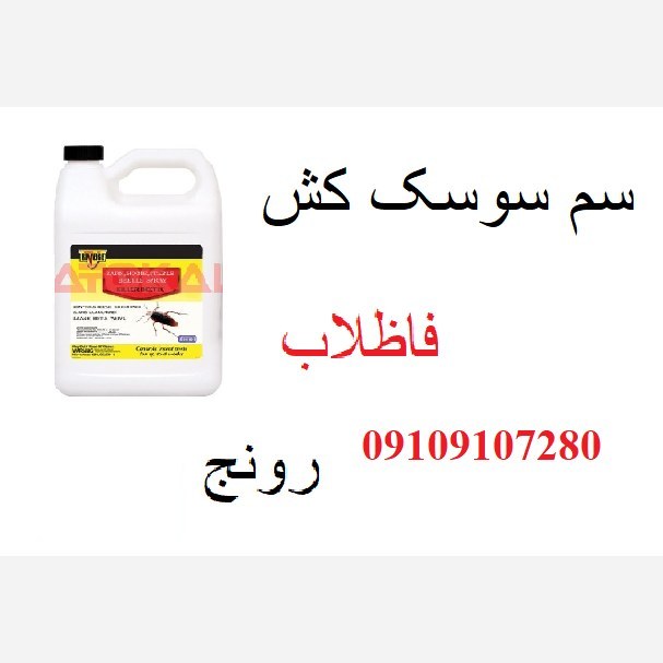 سم رونج راهکار موثر برای مقابله با سوسک ها
