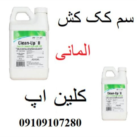 قوی ترین سم جهت از بین بردن کک ها