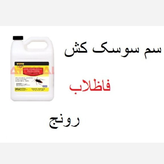 سمی قوی و مؤثر جهت از بین بردن سوسک ها