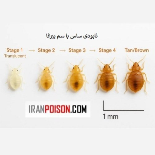 سم ساس کش 1 لیتری پیرانا (ارسال رایگان)