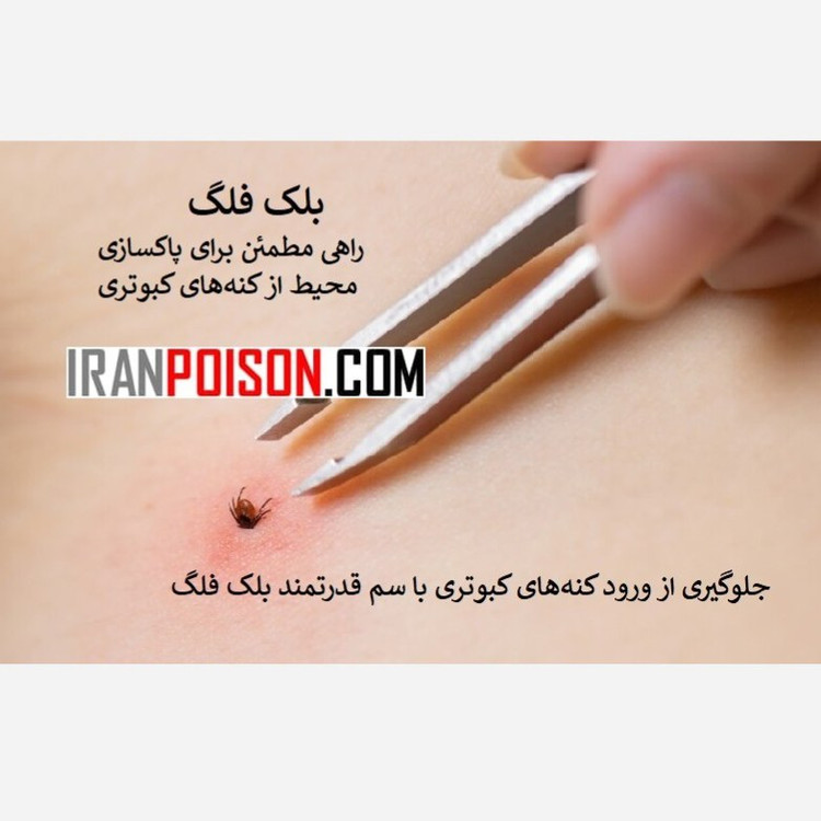 فروش و خرید داروی کشنده کنه کبوتری بلک فلگ اصلی (ارسال رایگان)