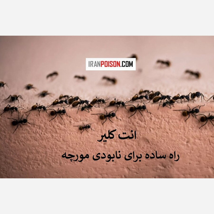 خرید سم مورچه انت کلیر اصل (ارسال رایگان)