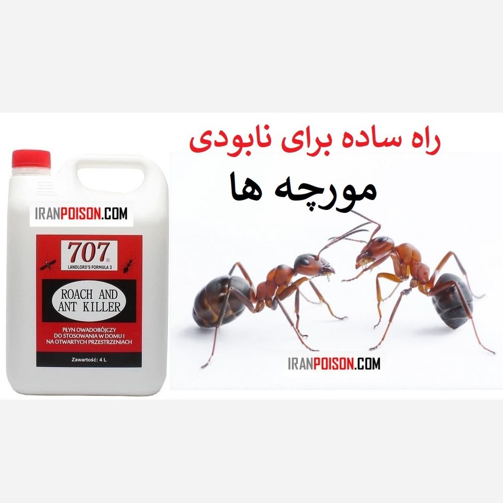 خرید سم مورچه انت کلیر اصل (ارسال رایگان)