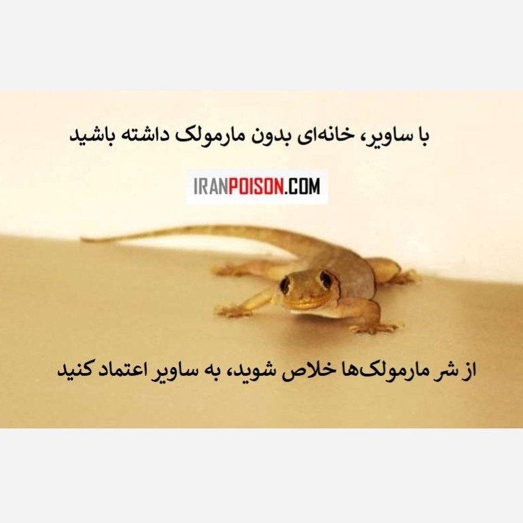 پاکسازی سریع و مؤثر مارمولک با ساویر