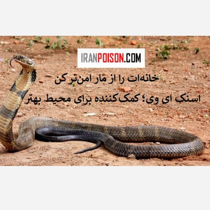 سم مار کش فوری اسنیک ای وی (ارسال رایگان)