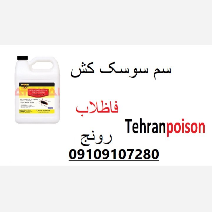 سم سوسک رونج انتخاب حرفه ای