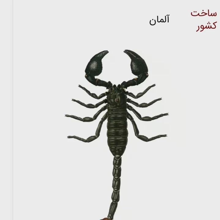 سم عقرب پیگانیک کشنده ترین اورجینال