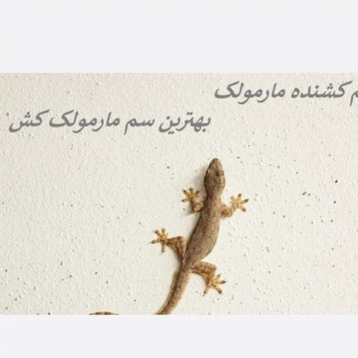 خرید سم مارمولک لیزارد کشنده ترین سم اورجینال