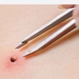 خرید سم کنه کش مکث فورس بهترین سم کنه