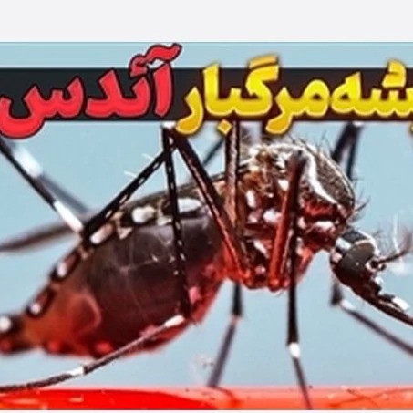 فروش 1 لیتری سم پشه بات