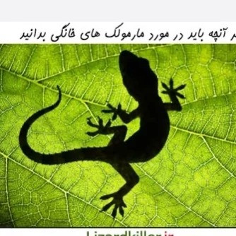 دور کننده مارمولک لیزارد محافظت از خانه در برابر مارمولک