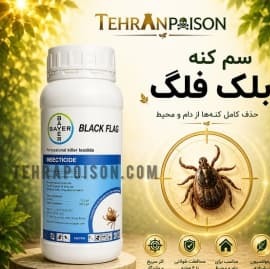 قوی سم کشنده کنه بلک فلگ