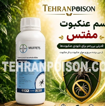سم عنکبوت مفتس فقط روی عنکبوت