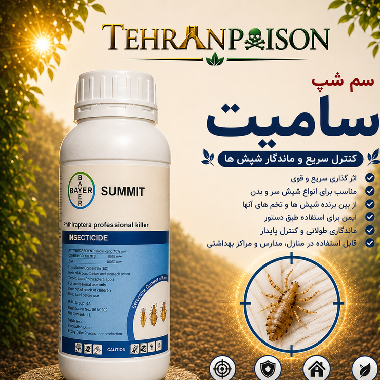بهترین انتخاب برای ازبین بردن شپش ها