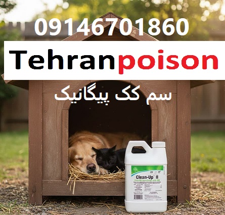 سمی قوی و مؤثر جهت از بین بردن کک ها