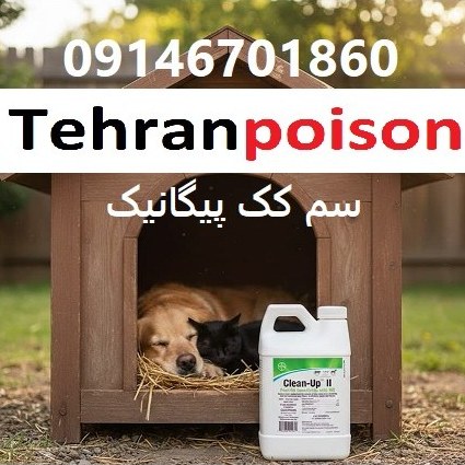 سریع آلودگی کک با سم کلین اپ