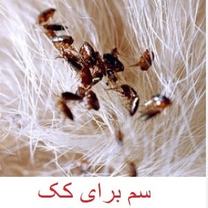 سم کک کش کلین آپ نابود کننده انوع کک ها ارسال رایگان