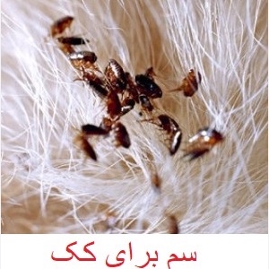 سم کک کش فلازتینگ مانگ نسخه اصلی کمیاب ارسال رایگان